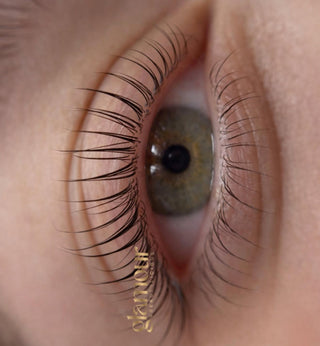 Wimpernlifting & Lashlifting Schulung 1:1 Premium Ausbildung