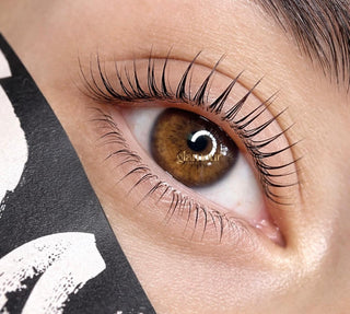 Wimpernlifting & Lashlifting Schulung 1:1 Premium Ausbildung